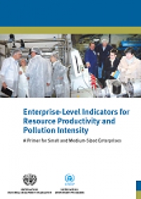 Enterprise Level Indicators for Resource Productivity and...